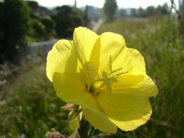 2010-06-03-47