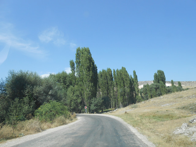 DSCN7417