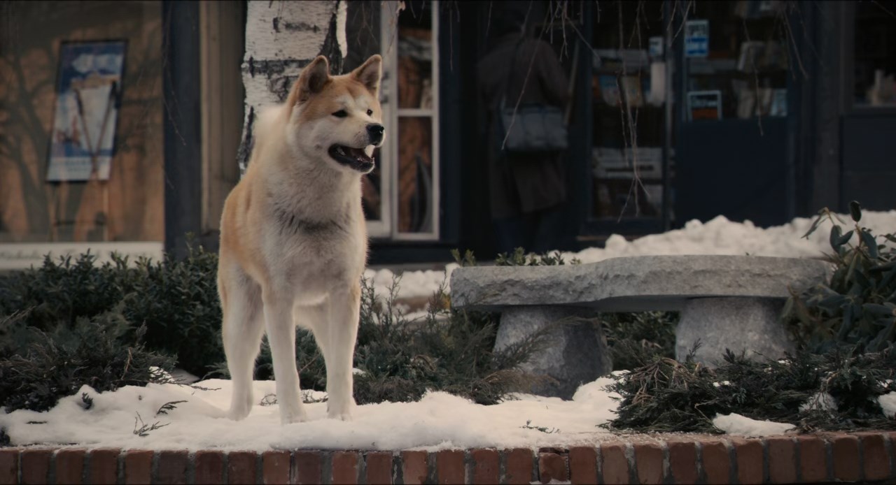 Hachi: A Dog's Tale Screenshot