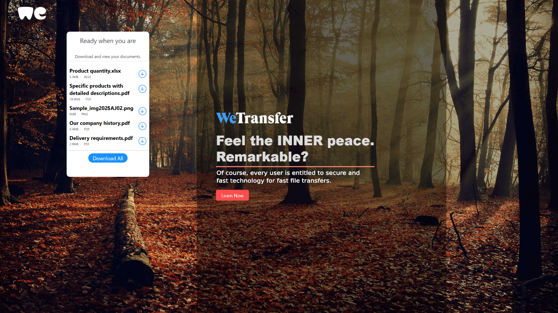 Stored capture of wetransfer-sampleproduct-transfer.netlify.app
