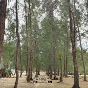 Pantai Mawar4