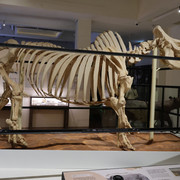 053A0490