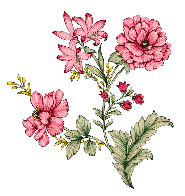 shutterstock 2524817075.jpg