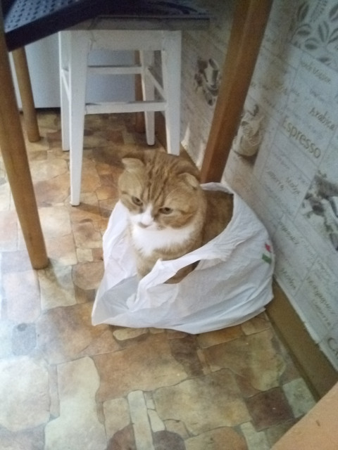 IMG-20220124-151957.jpg