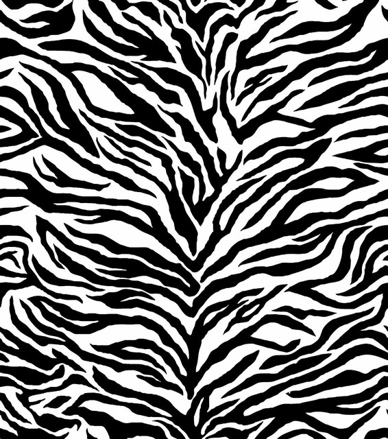 285f9a62703a70f3e41ef8ecd5f88997.jpg