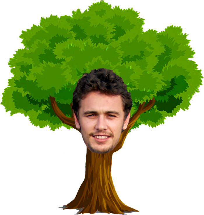 [Imagen: jarrio-arbol.jpg]