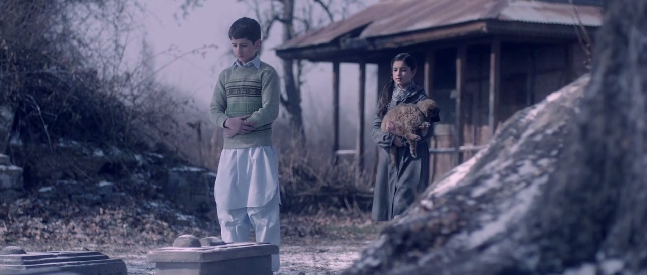 Fitoor Screenshot