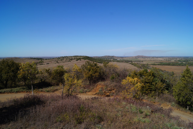 DSC06082
