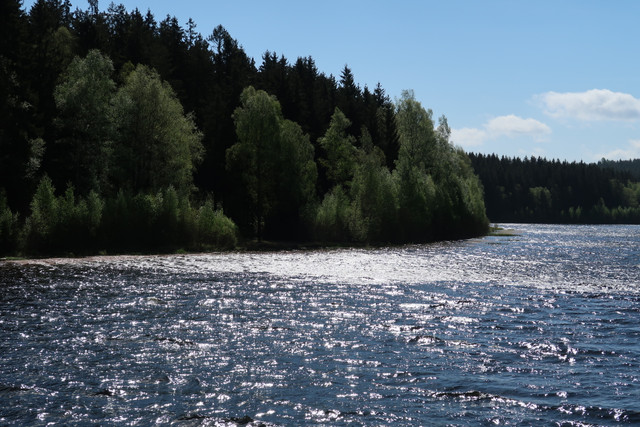 IMG-0478