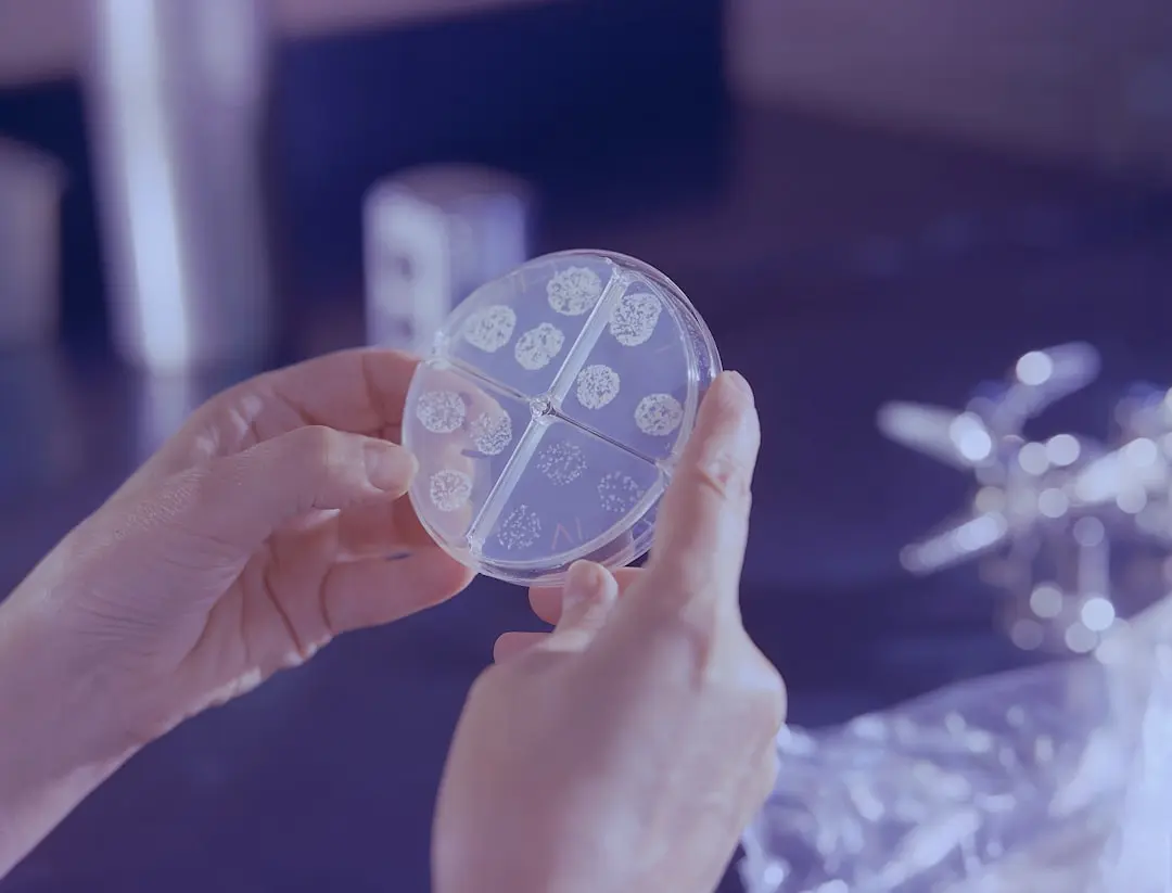 Legătura dintre microbiomul intestinal și dezvoltarea creierului în primii ani de viață
