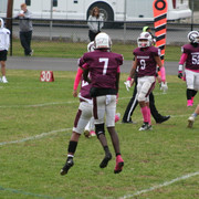 IMG-0334