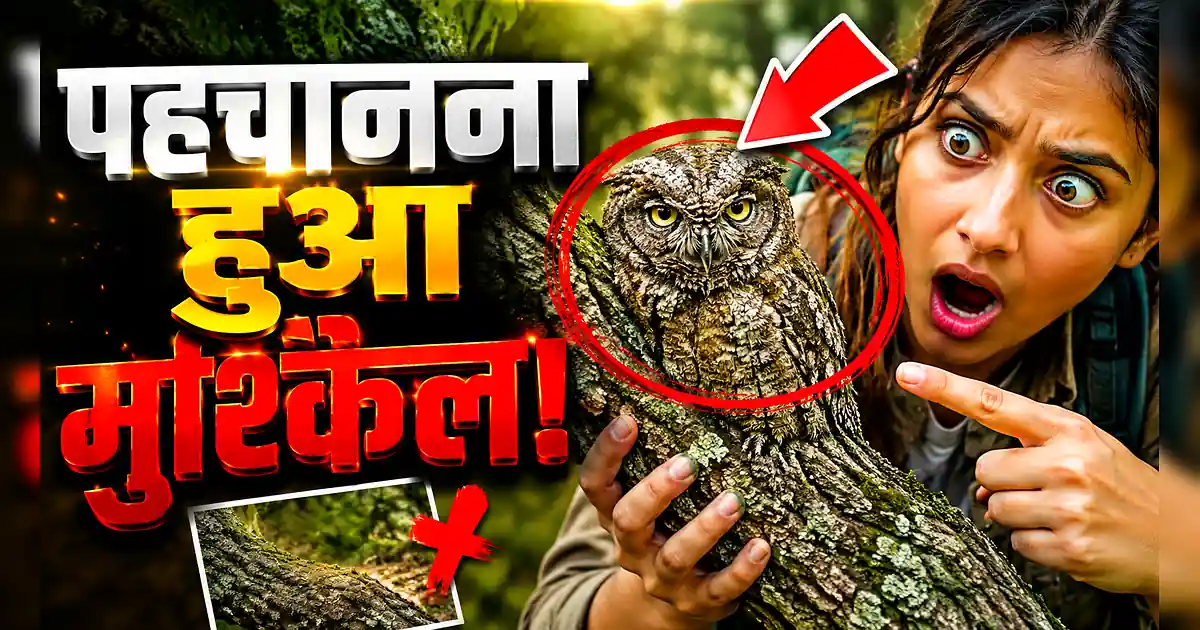 सनी देओल का नया लुक वायरल, रामायण से पहले पहचानना हुआ मुश्किल! - A Woman Holding A Bird In Her Hands
