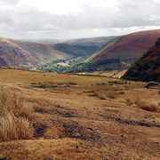 IMGP0294