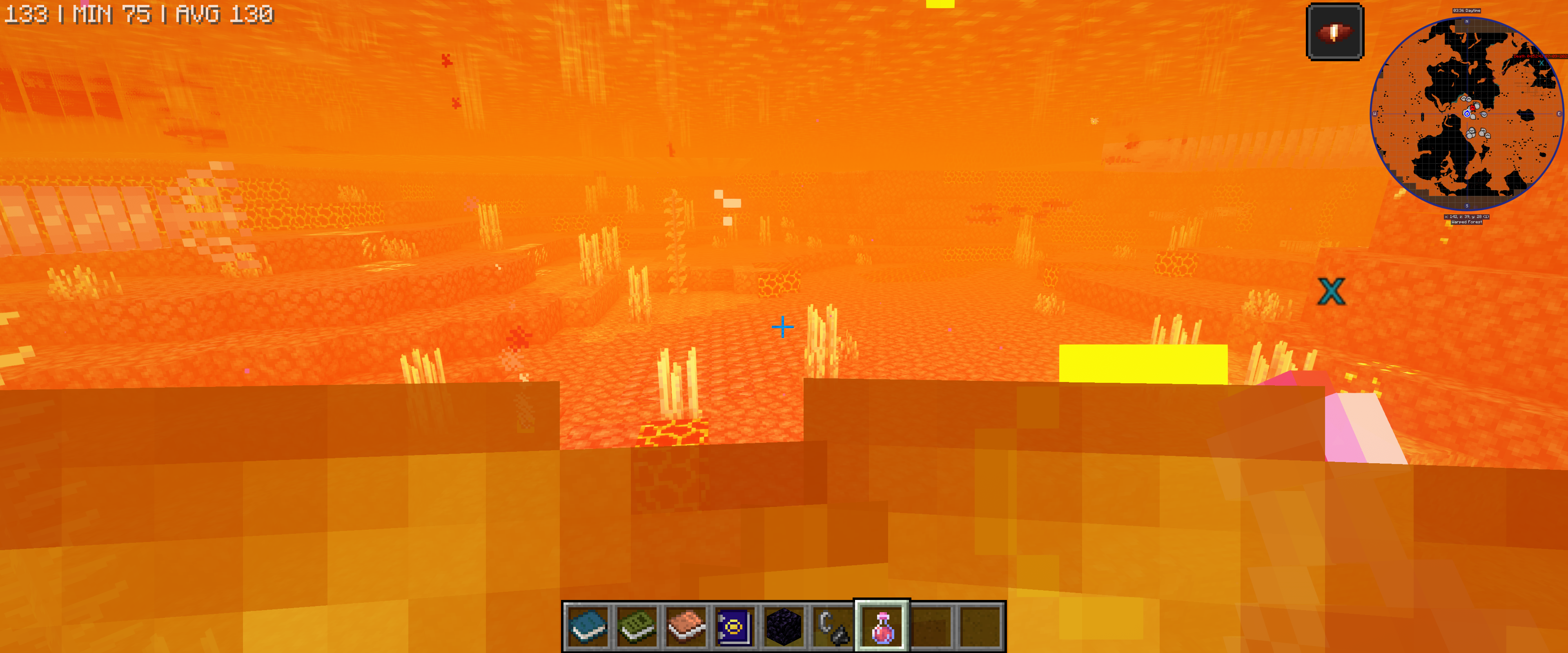 Nether Fish!