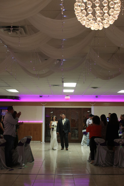 IMG-3484