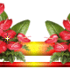 0-a269f-a58e64e8-L