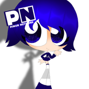 Pinor-Network