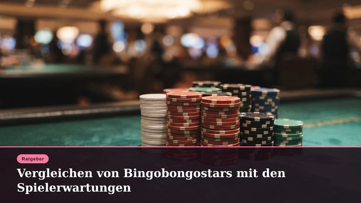 Vergleichen von Bingobongostars mit den Spielerwartungen