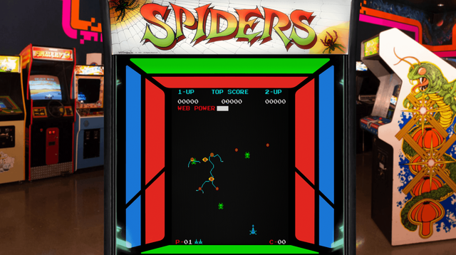 spiders