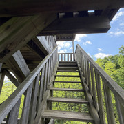 IMG 2154