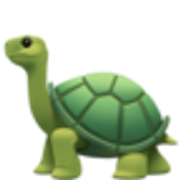 turtle-1f422