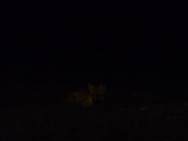 P1080727