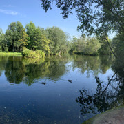 IMG-3420