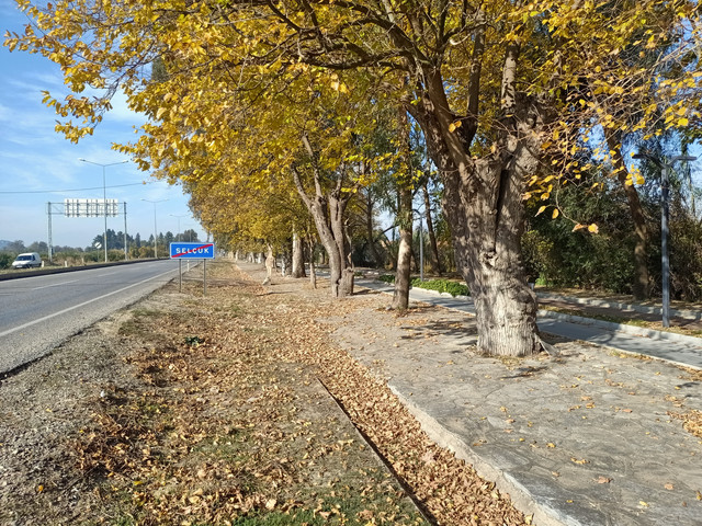 IMG20201129114049