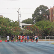 IMG-0135