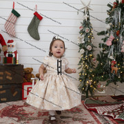 IMG 4261