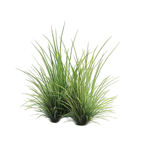 5f1ba7ea8a1252599e74876701e0109d.png