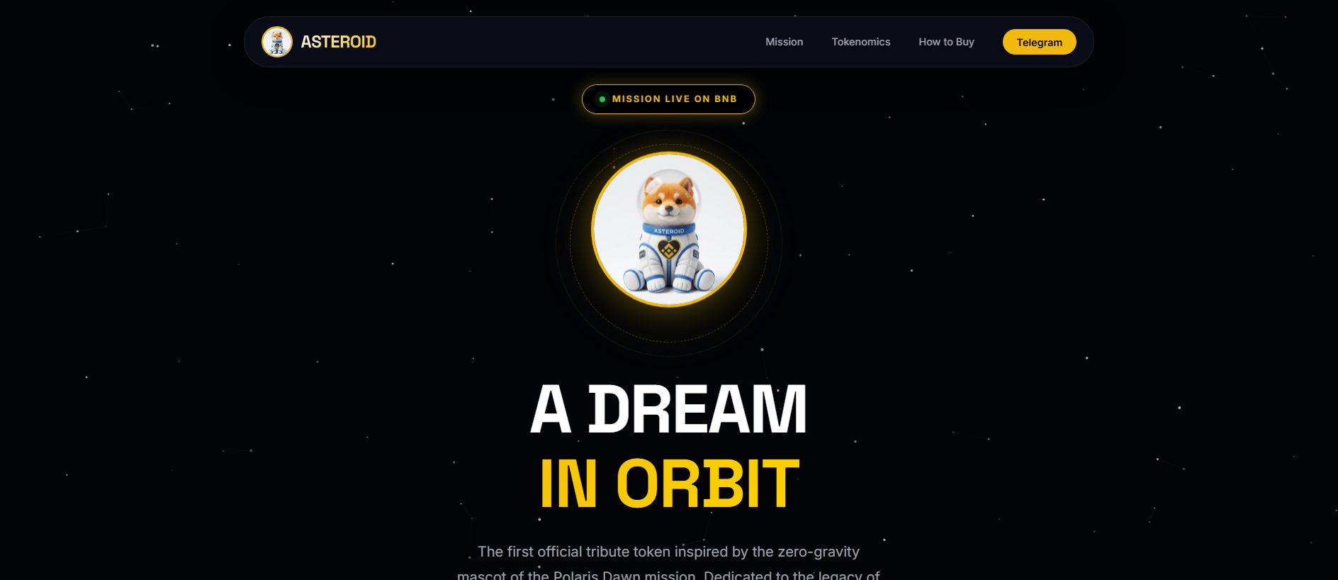 Forensic screenshot of asteroidshiba-bnb.com showing the phishing page layout