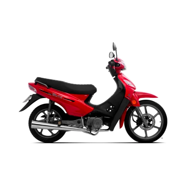 Blitz 110 Plus – foto 4