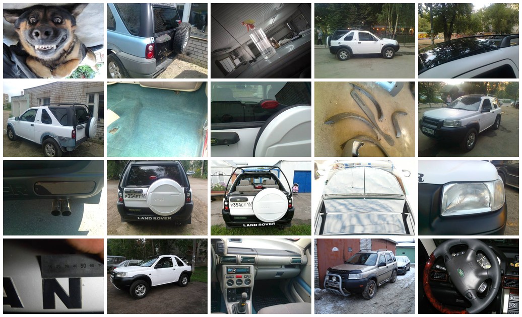 https://i.ibb.co/yFvp92Mm/3617-collage.jpg