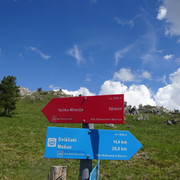 DSC04887