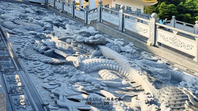 天马道场8.webp