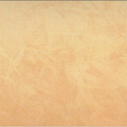 R235-RMP523