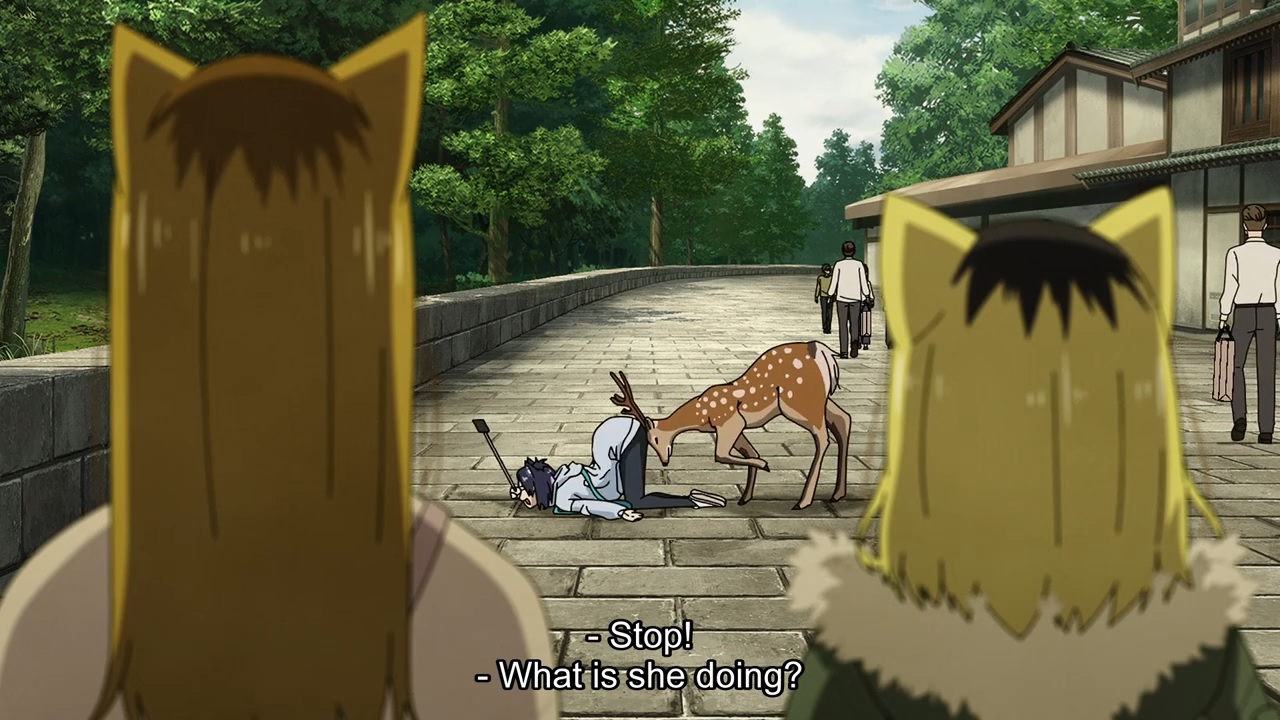 shino131.jpg