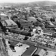 illustrious studio halroach