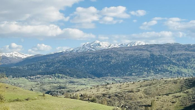 IMG-7823