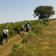 IMGP0245