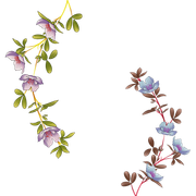 170