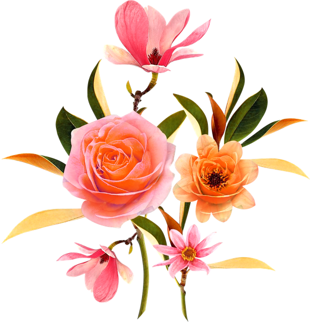 7b91fc4e7c82375f508df9217302325a.png