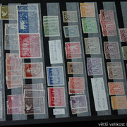 IMG-6789