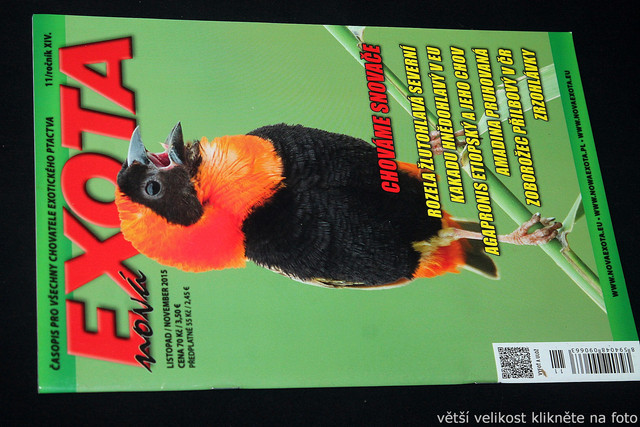IMG-7781