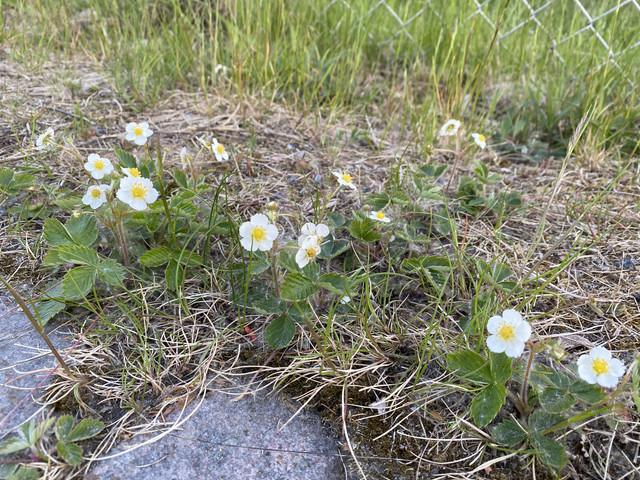 F4-B3-D19-D-9-A05-4529-A7-D3-D1-E8-AEE28