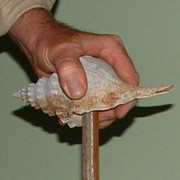 SHELL BEARING SMALL