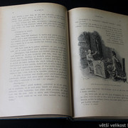 IMG-8317