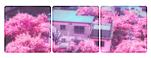 tg-4