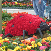 79799965-All-sizes-Spring-at-the-Bellagio-Flickr-Photo-Sharing